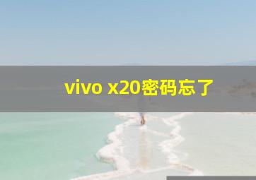 vivo x20密码忘了